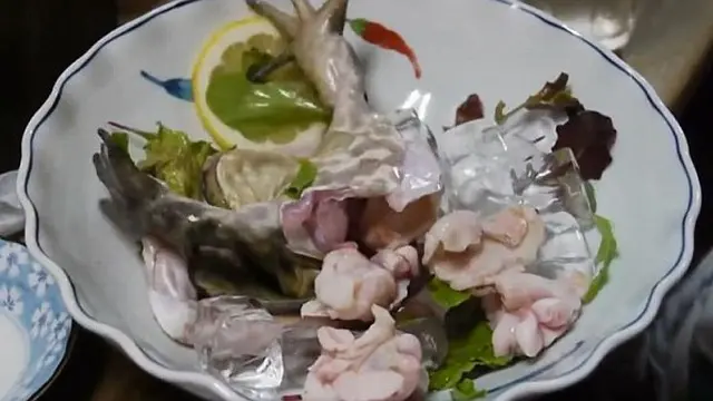 Berani Cicipi Sashimi dari Kodok Hidup?