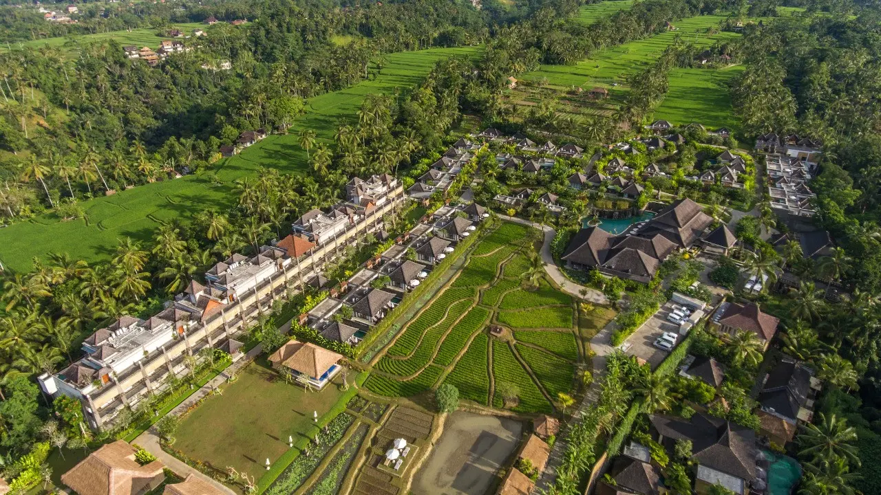 Desa Visesa Ubud 
