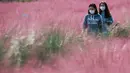 Dua orang wanita berjalan di tengah hamparan rumput muhly merah jambu di Taman Olimpiade di Seoul, Korea Selatan (15/10/2020). Korsel memutuskan untuk menurunkan pedoman jaga jarak sosial tiga tingkatnya ke level terendah setelah angka harian kasus COVID-19 relatif rendah.  (Xinhua/Wang Jingqiang)