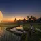 5 Fenomena Langit September 2026, Ini Cara Menikmati Keindahan Hujan Meteor hingga Harvest Moon