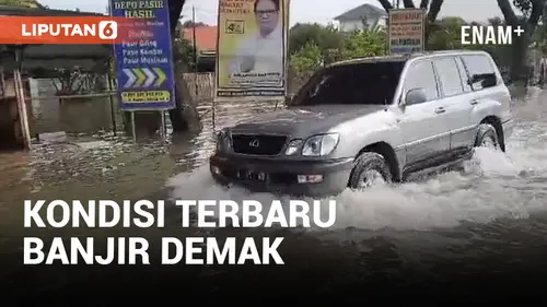 VIDEO: Banjir Demak Mulai Surut di Hari ke-8