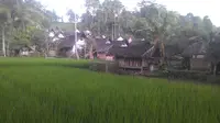 Kampung naga dengan latar belakang leuweung larangan (Liputan6.com/Jayadi Supriadin)