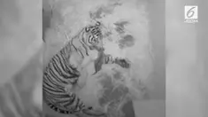 Harimau Sumatera berusia 8 tahun bernama Damai, yang melahirkan anak itu pada hari Selasa (11/7/2017).