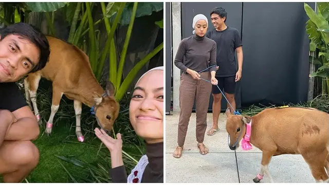 6 Selebriti Ini Dapat Kado Unik dari Pasangan saat Ulang Tahun, Ada Anak Sapi
