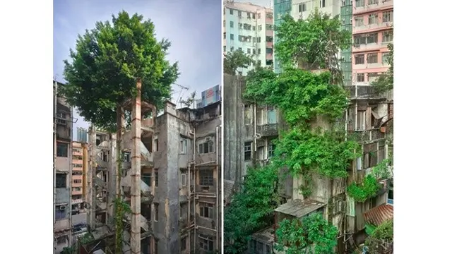 6 Foto Ini Buktikan Alam Menguasai Kehidupan, Bikin Geleng-geleng