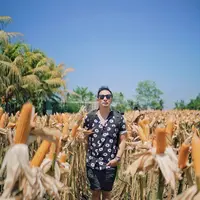 Ringgo Agus Rahman foto di ladang jagung di bagian belakang Kopi Klotok, Yogyakarta. (dok. Instagram @ringgoagus/https://www.instagram.com/p/B4jkcRigPDp/)