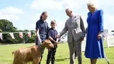Raja Charles III dan Ratu Camilla melihat Kambing Golden Guernsey yang langka saat mengunjungi Les Cotils di L'Hyvreuse, di Saint Peter Port, Guernsey selama kunjungan dua hari mereka ke Kepulauan Channel, Selasa (16/7/2024). (Andrew Matthews/PA via AP)
