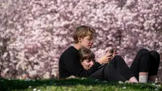 Pasangan menikmati cuaca cerah yang hangat di dekat pohon sakura Jepang yang mekar di Stadtpark di Wina, Austria (22/3). (AFP Photo/Joe Klamar)