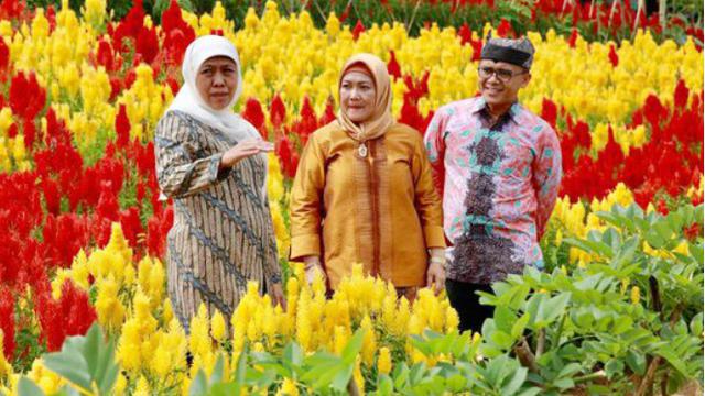 Instagramable Banget Destinasi Banyuwangi Ini Bikin