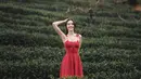 Saat berada di kebun teh, pemilik tinggi badan 175 cm ini terlihat begitu sumringah. Ya, jalan-jalan di kebun teh bisa menjadi momen healing untuk melepas penat dari pekerjaannya sebagai seorang aktris. (Liputan6.com/IG/@davikah)