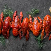 Ilustrasi lobster. (Foto: Freepik)