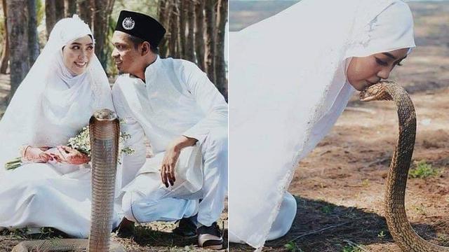 Foto Pernikahan Antimainstream, Sampai Gunakan Ular King Cobra