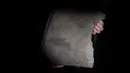 Profesor Kristel Zilmer memamerkan runestone yang ditemukan di Tyrifjorden, di Museum Sejarah Budaya di Oslo, Norwegia pada 17 Januari 2023. Batu rune itu ditemukan pada musim gugur 2021 selama penggalian kuburan di dekat Tyrifjord, sebelah barat Oslo, di wilayah yang terkenal dengan beberapa penemuan arkeologis yang monumental. (Javad Parsa / NTB / AFP)
