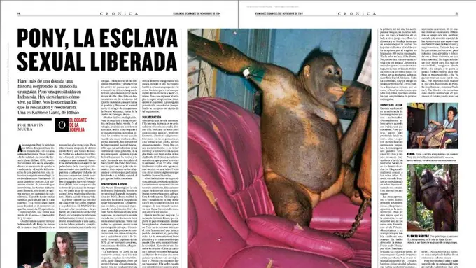 Kisah Sedih Pony, Orangutan Pernah Jadi Pelacur di Kalimantan