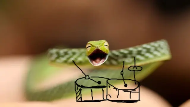 6 Editan Foto Ular Ekspresi Kaget Ini Absurd, Gagal Tampak Seram