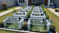 7 Ide Budidaya Ikan Nila di Bak Plastik Bekas untuk Pekarangan Rumah Type 36