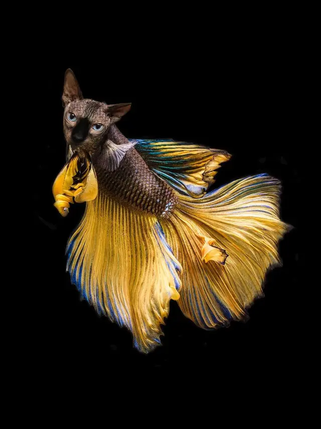 6 Editan Foto Ikan Berwajah Hewan Darat Ini Absurd Banget, Kocak