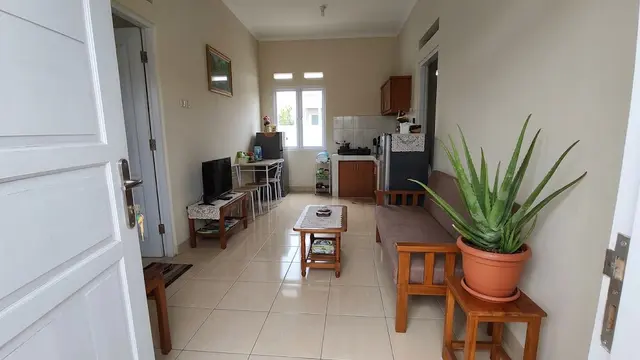 6 Tanaman Indoor yang Bisa Menjaga Kelembapan Rumah, Pilihan Alami untuk Hunian