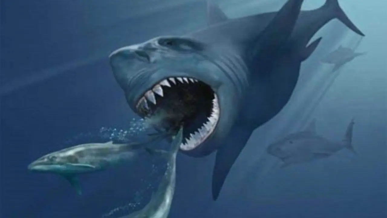 Ilmuwan Temukan Fosil Hiu Raksasa Misterius, Sepupu Megalodon