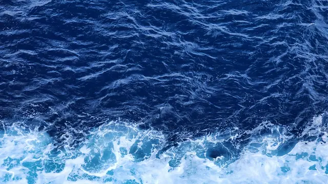 Kenapa ‘Bola Neptunus’ Penuh Plastik Mulai Bermunculan di Pantai?