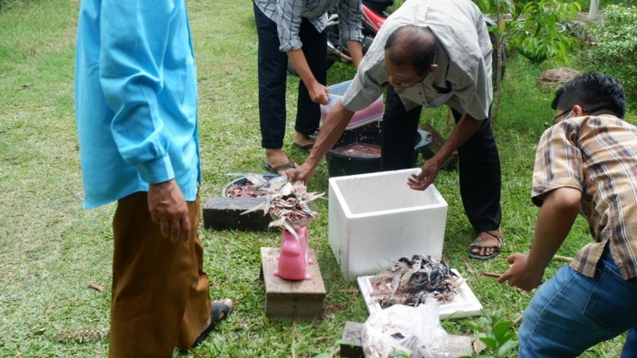 Pembuatan gelatin dari limbah ikan.