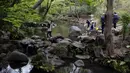 Warga mengunjungi Taman Arisugawa di Tokyo, Jepang, 22 April 2020. Jepang memasuki musim liburan yang dikenal 'Golden Week' yakni serangkaian tanggal merah hingga 5 Mei. (AP Photo/Kiichiro Sato)