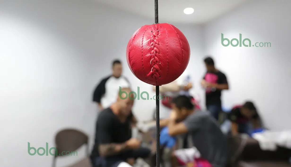 Speed Ball yag biasa dipajang diruang ganti Daud Yordan sebelum bertanding melawan Yoshitaka Kato di Balai Sarbini, Jakarta, Jumat (5/2/2016). (Bola.com/Nicklas Hanoatubun)
