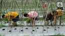 Dikelilingi kebun sayuran dan terletak di ujung kampung,  tak ada yang menyangka kalau bangunan ini adalah tempat penampungan Orang dengan Gangguan Jiwa (ODGJ) dengan jumlah mencapai 60 orang. (merdeka.com/Arie Basuki)