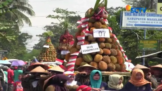 Festival durian yang menyuguhkan ribuan durian berbagai jenis yang pastinya langsung jadi rebutan.