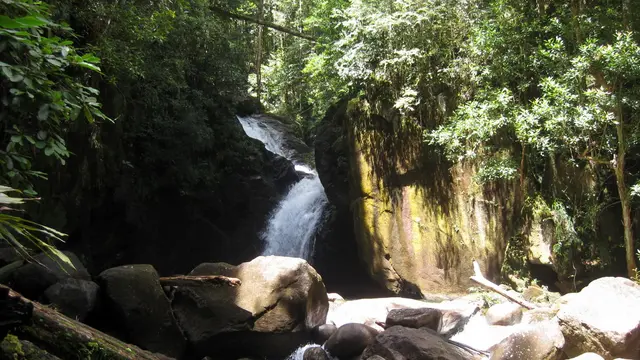 Air terjun di Gunung Palung