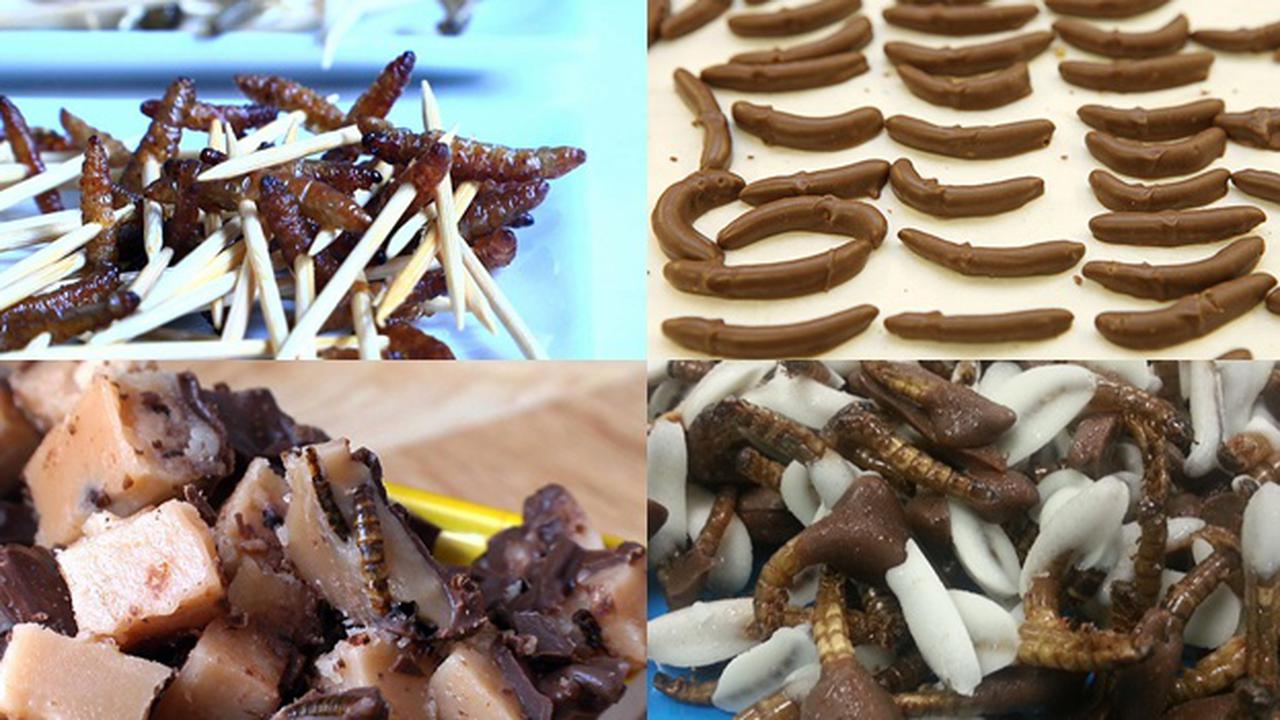 Sambut Halloween, Museum di AS Sajikan Menu Spesial dari Larva