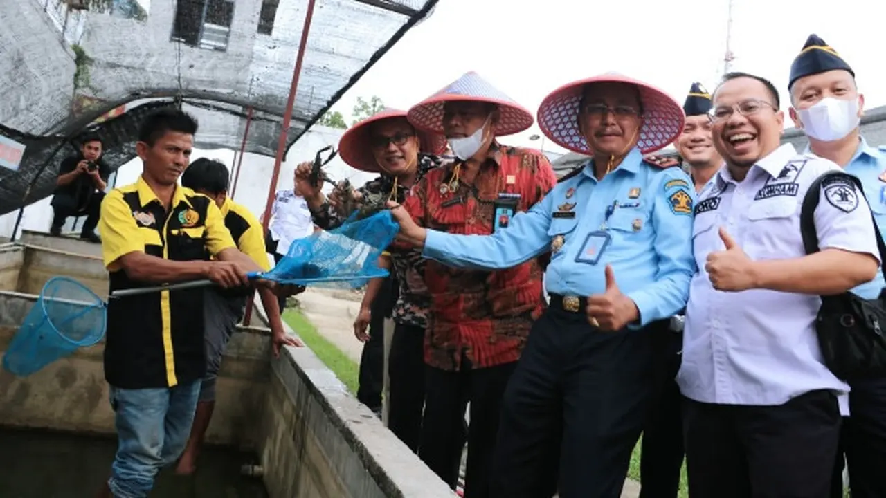Panen lobster yang dibudidayakan oleh narapidana di Lapas Pasirpangaian, Kabupaten Rokan Hulu.