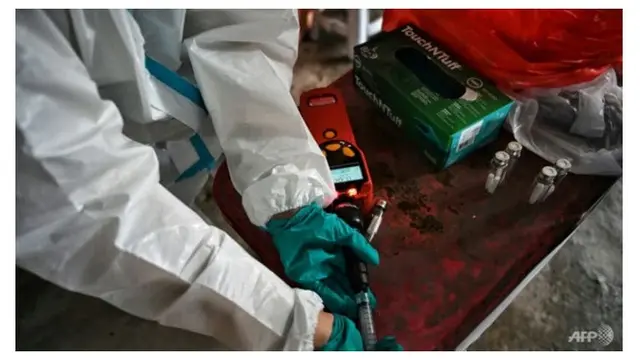 Thailand Gunakan Keringat Ketiak Buat Deteksi Covid-19, Ini 4 Faktanya