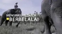 Kunjungan hewan liar ini, termasuk gajah liar, cukup menimbulkan gangguan serius bagi warga desa.