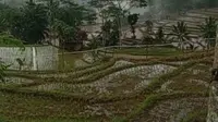 Semburan air dengan debit cukup besar, akibat kebocoran saluran Pipa Pembangkit Listrik Tenaga Mikrohidro (PLTMH) Cirompang, Kecamatan Bungbulang, Kabupaten Garut, Jawa Barat, mengagetkan warga sekitar. (Liputan6.com/Jayadi Supriadin)