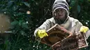 Pemeliharaan akan berkontribusi pada konservasi lebah yang terancam oleh perubahan iklim dan agrokimia. (Juan BARRETO/AFP)