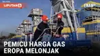 Harga gas alam di Eropa meningkat setelah Ukraina menghentikan aliran gas Rusia ke Uni Eropa yang melintasi wilayahnya. Rusia pernah memasok 30 persen lebih kebutuhan gas Eropa tapi benua ini berhasil melepaskan ketergantungannya pada Rusia menyusul ...