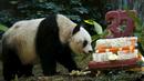 Panda raksasa Jia Jia terlihat di samping kue ulang tahunnya yang terbuat dari es dan sayuran di Hong Kong Ocean Park, China, Selasa, (28/7/2015).  Panda lucu ini merayakan ulang tahunnya ke-37. (REUTERS/Bobby Yip)