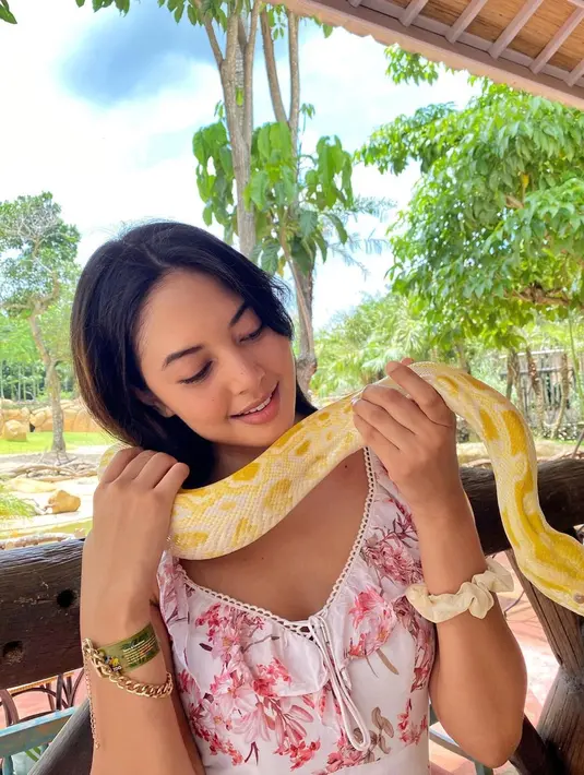 Rasa takut tidak terlihat saat Aurelie Moeremans memegang ular berwarna kuning. Perempuan dengan tinggi badan 172 cm ini malah terlihat enjoy memegang hewan reptil tersebut. Ular kuning dipegang sepenuh hati oleh Aurelie. (Liputan6.com/IG/@aurelie)