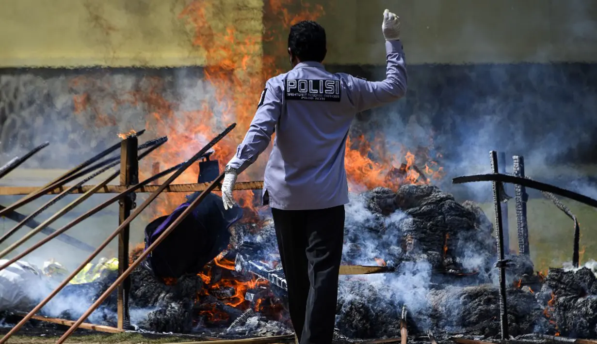 Seorang polisi membakar tumpukan ganja sitaan saat upacara di Polda Aceh, Banda Aceh, Aceh, Rabu (23/9/2020). Sebanyak 372,6 kilogram ganja dan 80,2 kilogram sabu serta 27.400 pil ekstasi hasil sitaan polisi dimusnahkan dalam acara tersebut. (CHAIDEER MAHYUDDIN/AFP)