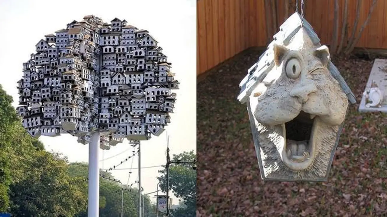 7 Potret Sarang Burung Anti-Mainstream, Dari Kreatif Hingga Nyeleneh