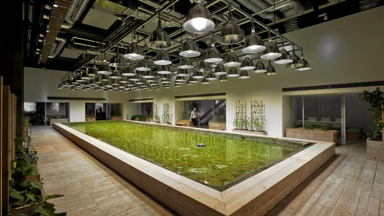 Kebun di Kantor Jepang