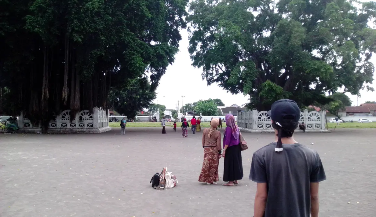 Percaya tak percaya, sepasang pohon tersebut, selama ini memiliki mitos, seolah bisa memprediksi mengenai jalan hidup seseorang (istimewa)