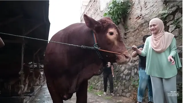 6 Potret Nathalie Holscher Berburu Sapi 1 Ton, Kurban Kedua Sejak Mualaf