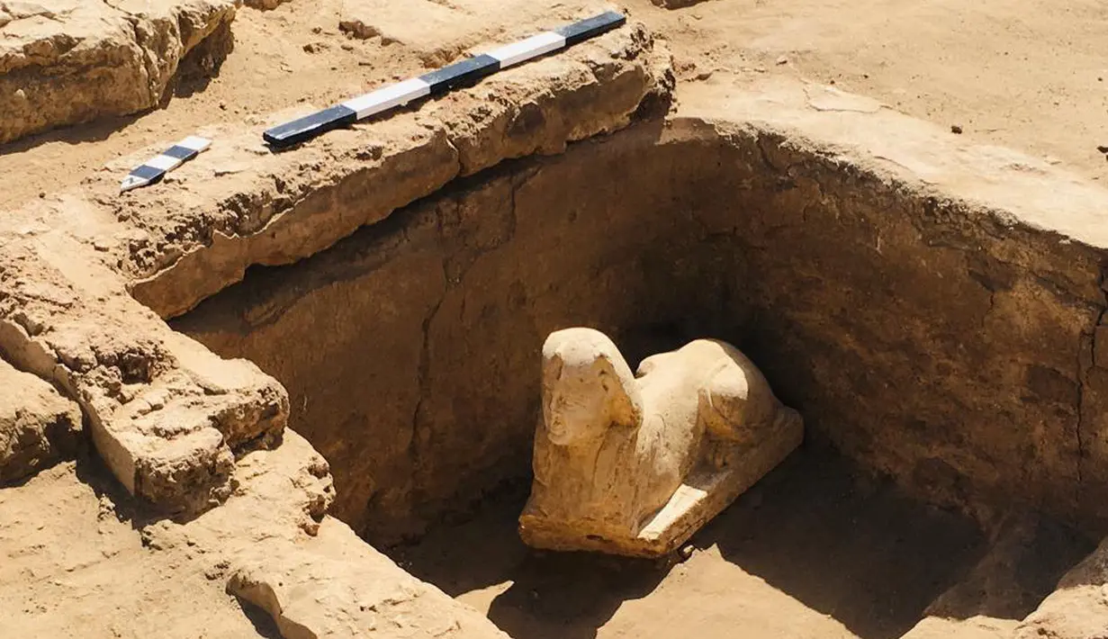 Gambar selebaran tak bertanggal yang dirilis oleh Kementerian Purbakala Mesir pada 6 Maret 2023, menunjukkan patung Sphynx yang digali di dekat Kuil Dendera di provinsi Qina (Qena). Patung ini jauh lebih kecil dari sphinx terkenal di kompleks Piramida Giza, yang tingginya sampai 22 meter. (Egyptian Ministry of Antiquities / AFP)
