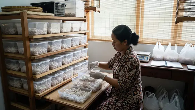 Ide Ternak di Box Plastik Bekas untuk Ibu Rumah Tangga yang Cepat Panen dan Mudah Dipasarkan
