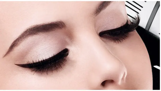 copyright by shutterstock.com