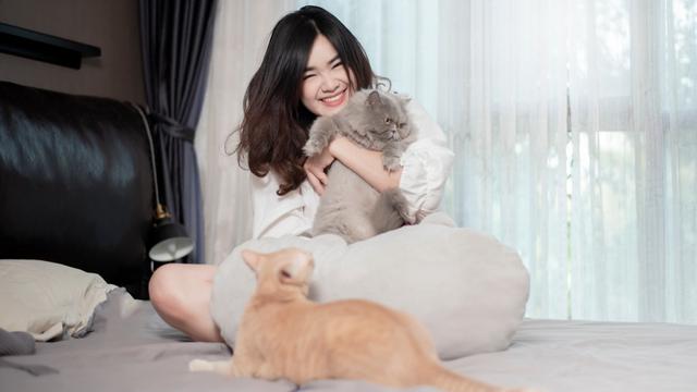 Membersihkan Kandang Kucing Lucu Dan Sederet Aktivitas Untuk Isi Akhir Pekan Hot Liputan6 Com