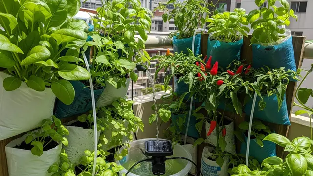 Kombinasi Kebun dan Ternak Ramah Lingkungan