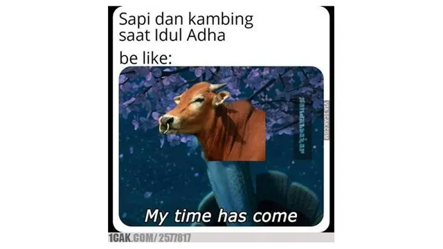 8 Meme Kocak Jelang Iduladha Ini Bikin Baper